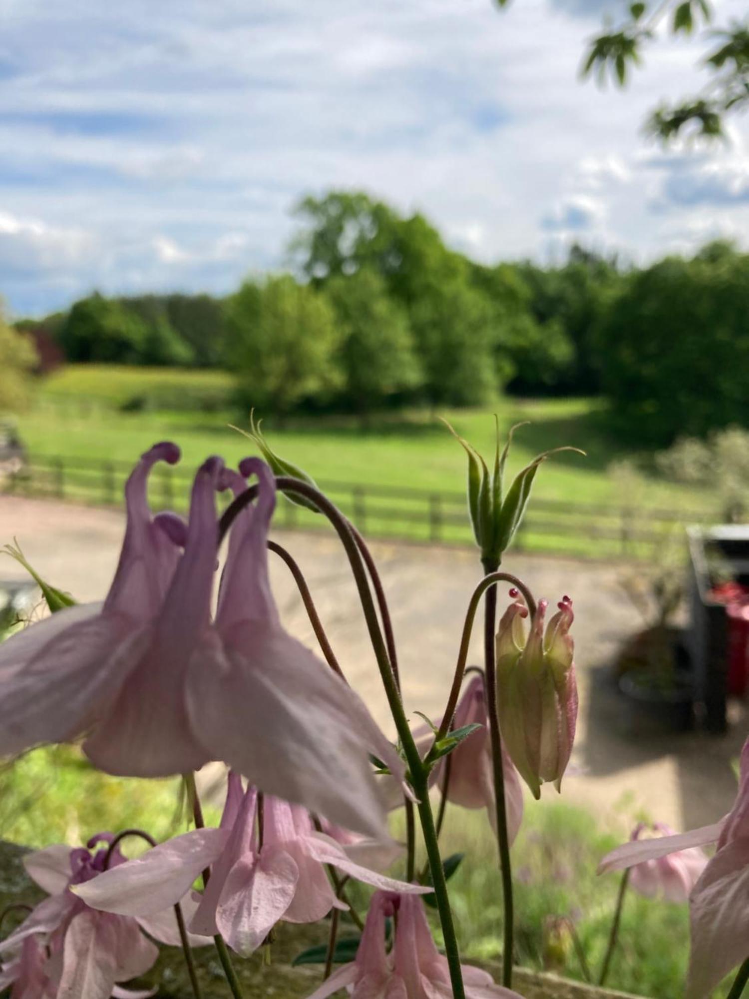 Lavender Cottage Gloucester Extérieur photo