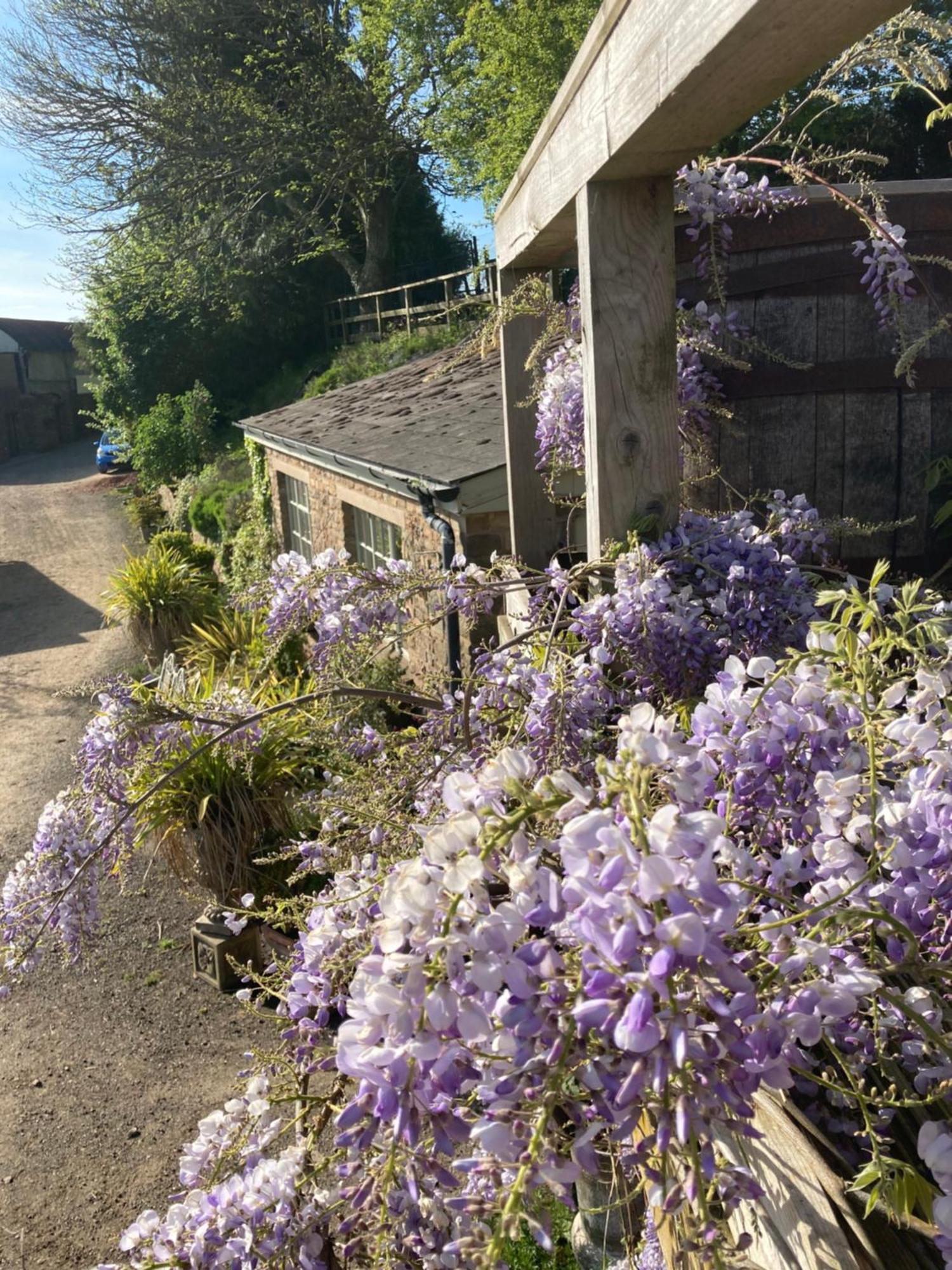 Lavender Cottage Gloucester Extérieur photo